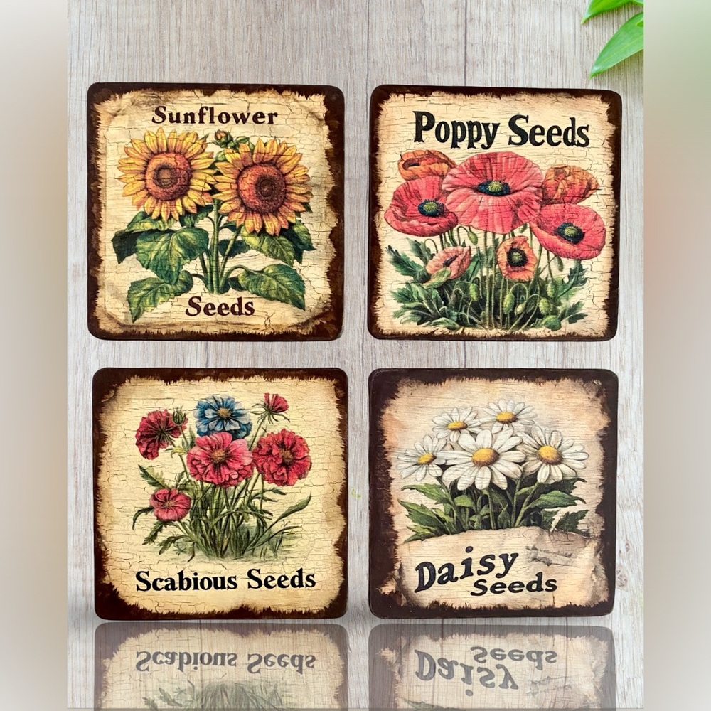 Vintage Sunflower Poppy Scabious Daisy Seed Pack Coasters - Set of 4